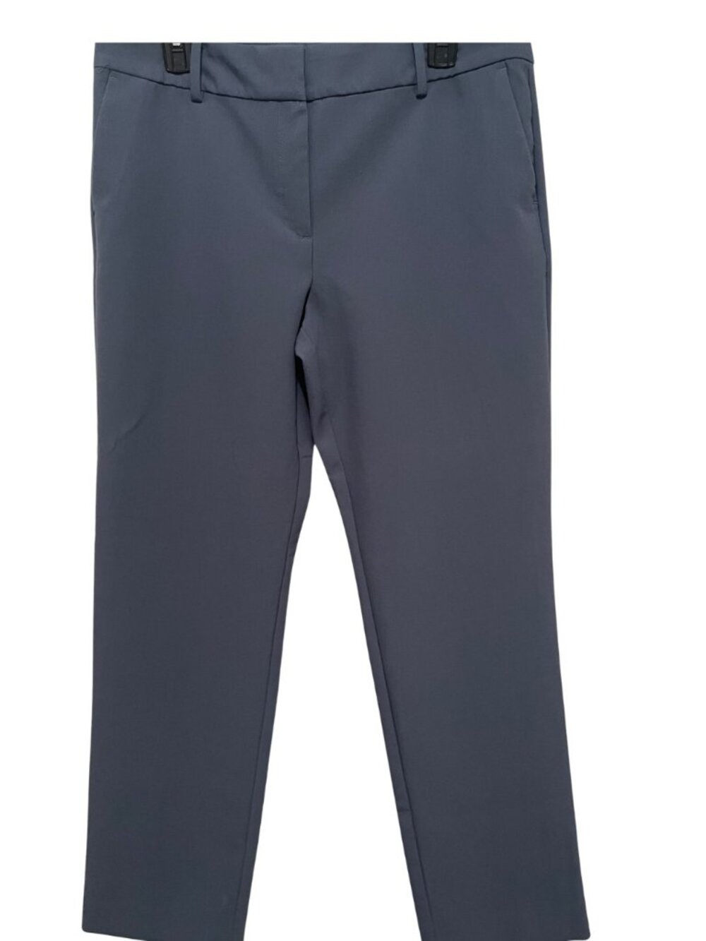 Ann Taylor Blue Size 10 Crop Trousers